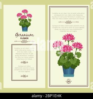 Geranium flower in pot vector advertising banners for shop design Stock Vector