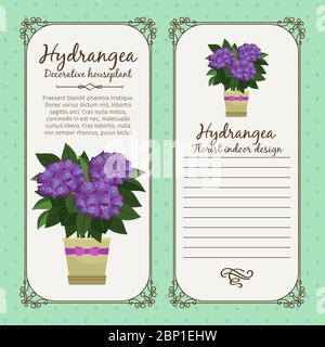 Vintage label template with decorative hydrangea plant in pot, vector illustration Stock Vector