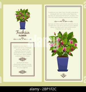 Fuchsia flower in pot vector advertising banners for shop design Stock Vector