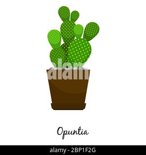 Opuntia cactus in pot isolated on the white background, vector illustration Stock Vector