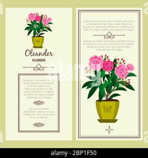 Oleander flower in pot vector advertising banners for shop design Stock Vector