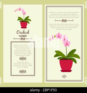 Orchid flower in pot vector advertising banners for shop design Stock Vector