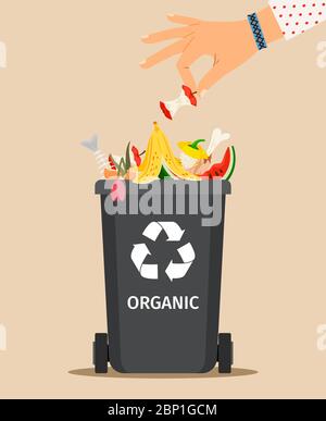 Woman hand throws garbage into a organic container, vector illustration Stock Vector