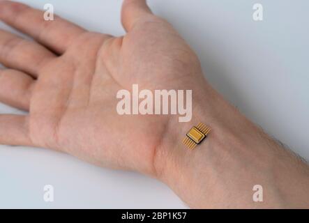 microchip is connected to a man hand. implantation of a chip under the human skin.  Stock Photo