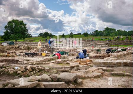 Archaeological dig - archaeologists undertake excavation at Vindolanda Roman Fort near Hadrian's Wall in Northumberland. Stock Photo