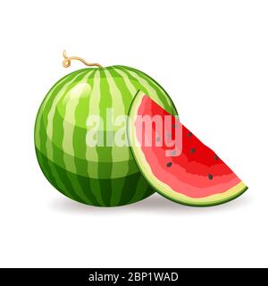 Fresh ripe watermelon on white background, isolated. Exotic summer fruit, vector illustration in flat style Stock Vector