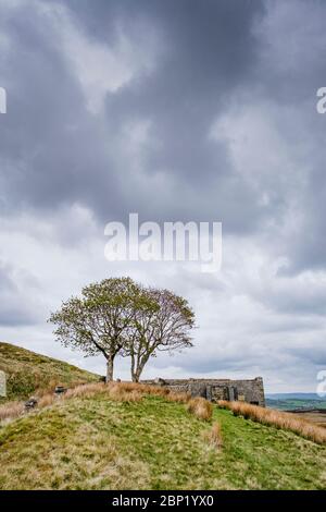 Top Withens also known as Top Withins on Haworth Moor, Haworth, UK. said to be the inspiration for the book Wuthering Heights by Emily Bronte. Stock Photo