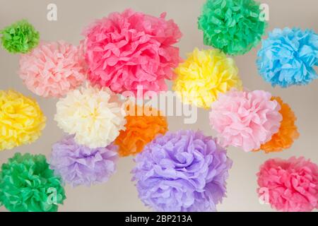 Tissue color pompoms for a party Stock Photo