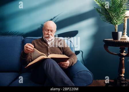 Cheerful elderly man in glasses reading a book Stock Photo