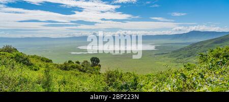 View over Ngorongoro Conservation Area. Ngorongoro Crater is a large volcanic caldera and a wildlife reserve. Stock Photo