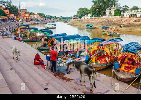 Chitrakoot, Madhya Pradesh, India : A priest knots a thread bracelet to the wrist of a pilgrim next to a cow and colourful boats lining near the steps Stock Photo