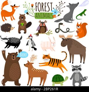 Forest Animals Dimensions  Drawings  Dimensionscom