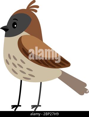 Sparrow funny cartoon bird icon in brown colors, isolated on white background. Vector illustration Stock Vector