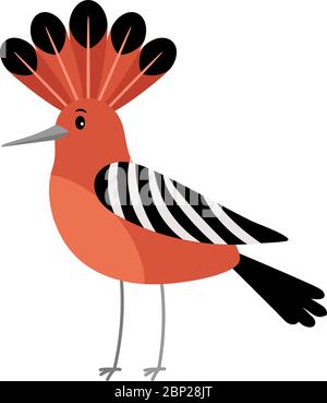 Hoopoe cartoon colorful bird icon on white background, vector illustration Stock Vector