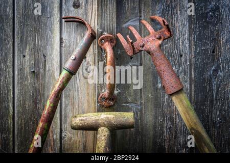 Old and rusting gardening tools lying against a wooden shed with a rusty door handle, Ayrshire, UK Stock Photo