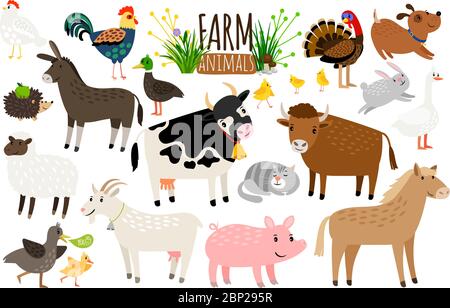 Farm animals. Domestic farm animal collection isolated on white background, goose and donkey, pig and goat, cow and sheep vector illustration Stock Vector