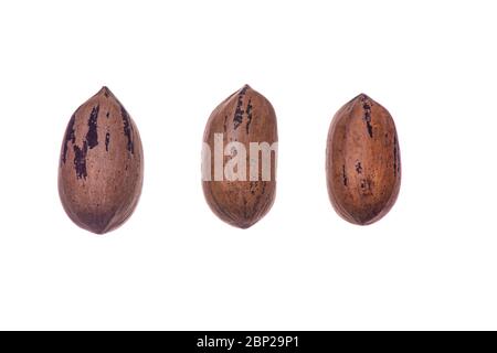 Three pecan nuts isolated on white background Stock Photo