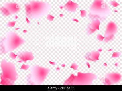 Sakura petals, roses in a circle in perspective with shadow. On a transparent background. Vector illustration Stock Vector