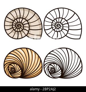 Sea shell coloring page for kids. Cartoon and outline sea shells, vector illustration Stock Vector