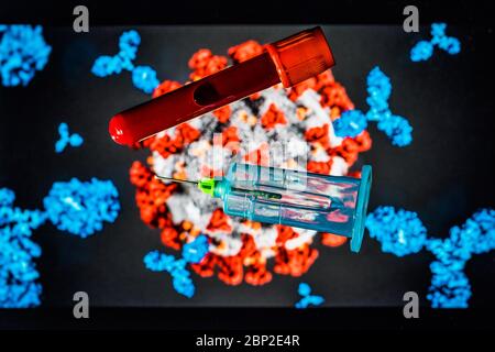 Illustration on the blood samples of patients recovered from COVID 19 rich in antibodies (immunoglobulin igG and modeling of the coronavirus). Stock Photo