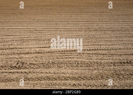 Farm field in preparation for spring planting near Cassinasco in Langhe, Piedmont, Italy Stock Photo