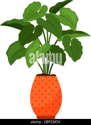 Alocasia house plant in flower pot vector icon on white background Stock Vector