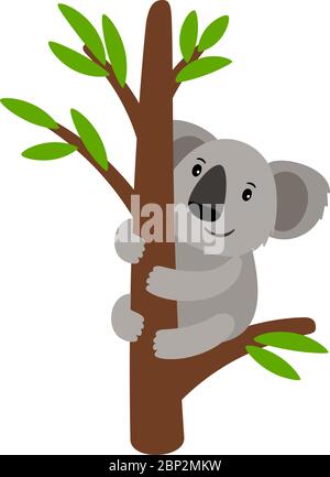 Cute grey koala bear sit on wood branch and eating green leaves cartoon ...