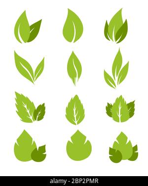Premium Vector  Green leaf vector set isolated on white