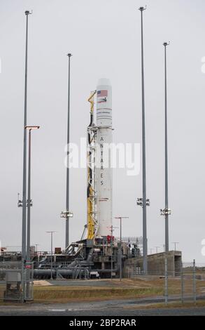 Northrop Grumman Antares CRS-10  A Northrop Grumman Antares rocket carrying a Cygnus resupply spacecraft is seen on Pad-0A after being raised into a vertical position, Tuesday, Nov. 13, 2018 at NASA's Wallops Flight Facility in Virginia. Northrop Grumman's 10th contracted cargo resupply mission for NASA to the International Space Station will deliver about 7,500 pounds of science and research, crew supplies and vehicle hardware to the orbital laboratory and its crew. Launch is scheduled for Nov. 15 at 4:49 a.m. EST.