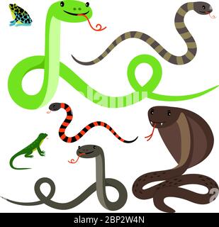 Different snakes and lizard cartoon icons set on white background. Reptiles vector illustration Stock Vector