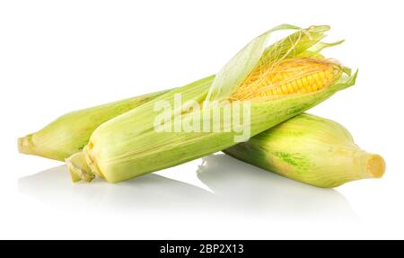 Three corncobs isolated on a white background Stock Photo