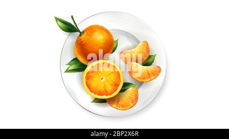 Orange tangerines with leaves on a white plate Stock Vector