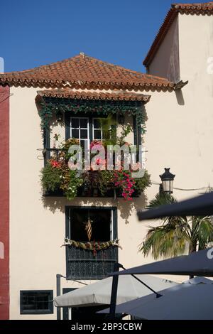 Multi-colored flowered balcony of Santa Cruz de La Palma Stock Photo