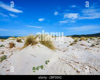 The white sand of Is Arenas Biancas beach, with tall, white dunes called Le Dune, Sant'Anna Arresi, Sardinia, Italy Stock Photo