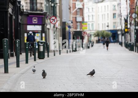 Pigeons on deserted Grafton Street in Dublin City Centre as the footfall plummets due to coronavirus pandemic. Covid-19 in Ireland. Stock Photo