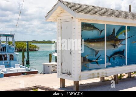 Saltwater fish display at Critter Fleet Deep Sea Fishing and Charters on the Halifax River at Ponce de Leon Inlet in Ponce Inlet, Florida near Daytona. Stock Photo