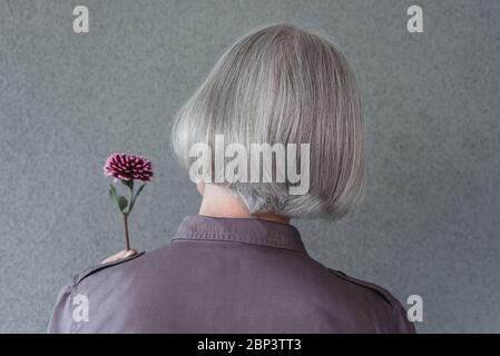Elegant gray-haired woman holding red dahlia flower, on gray background.