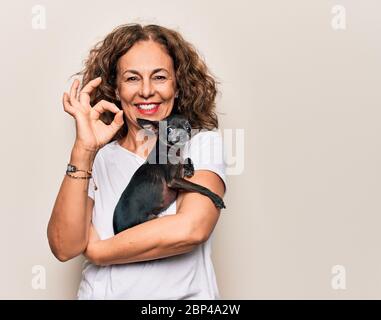 Middle age brunette woman holding cute little chihuahua dog over isolated background doing ok sign with fingers, smiling friendly gesturing excellent Stock Photo