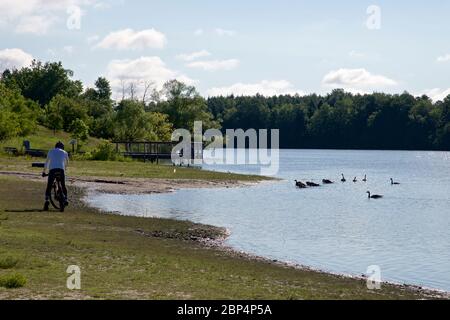 Markham, Ontario / Canada - July 01, 2017: Boy in bicycle looking the Canadian Geese at Milne Dam Conservation Park, Markham, Ontario, Canada. Stock Photo