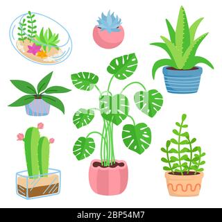 House plant potted ceramic set, flat cartoon style. Succulents and house plants, cactus collection. Monstera and aloe. Growing green sprouts rising from pot. Isolated vector illustration Stock Vector