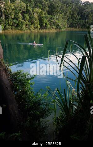 Woman on kayak on serene Lake Eacham, Crater Lakes National Park, Atherton Tableland, Queensland, Australia. No MR or PR Stock Photo