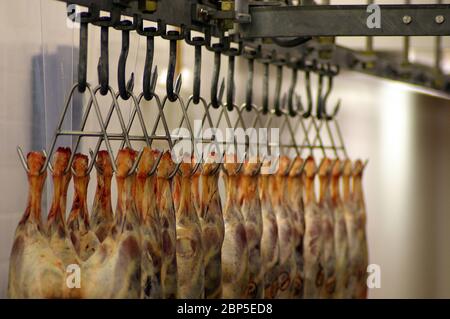 Lamb hanging from meat hooks at a wholesale butcher Stock Photo