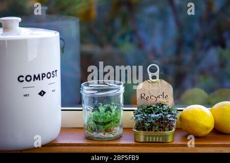 kitchen food waste compost container, jar and tin used to grow salad greens on kitchen window ledge, with recycle text handwritten on tin Stock Photo