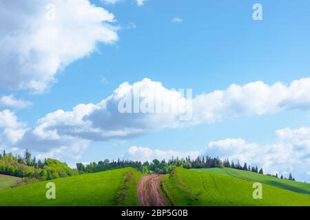 beautiful nature mountain scenery. path through forest on grassy hills in springtime. concept of outdoor adventure on a sunny day with clouds on the b Stock Photo