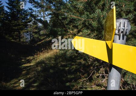 Blank yellow hiking signs on a pole pointing towards a hiking trail in a pine forest. Stock Photo