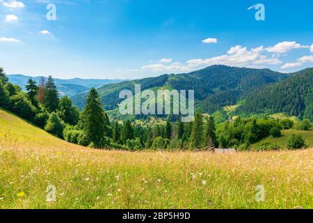 countryside fields and meadows on hills in summer. idyllic mountain landscape on a sunny day. scenery rolling in to the distant ridge. wonderful weath Stock Photo