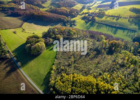 Aerial view, wooded area on Dresiborn, Arnsberg, Sauerland, North Rhine-Westphalia, Germany Stock Photo