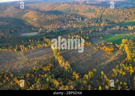 Aerial view, deforestation, cleared forest area, tree damage, Marsberg, Sauerland, North Rhine-Westphalia, Germany Stock Photo
