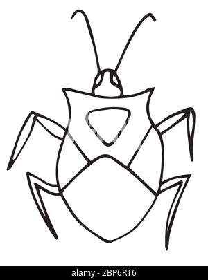 Bug coloring page, for kids, outline, vector picture. isolated. Stock Vector