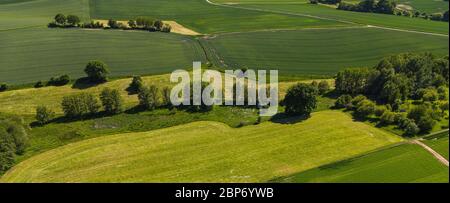 Rural landscape on a sunny day - agricultural farmland Stock Photo